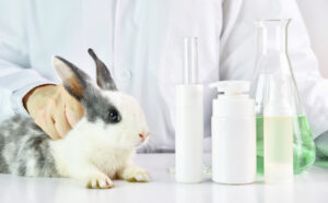 Vegan and Cruelty-Free Cosmetics: Is There a Difference?