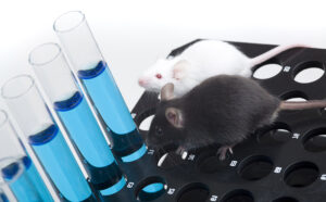 The Many Benefits of Using Alternatives to Animal Testing