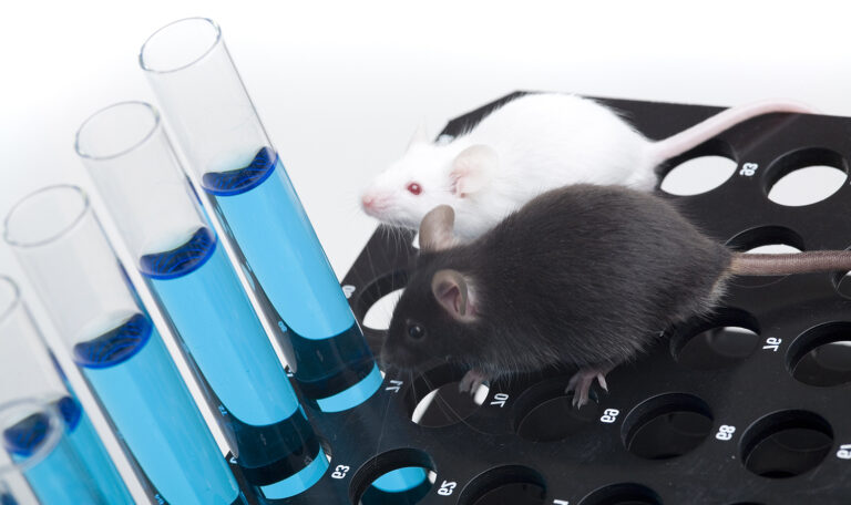 The Many Benefits of Using Alternatives to Animal Testing - InVitro Intl