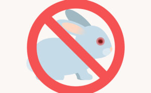 Cosmetic Testing: 3 Non-Animal Testing Alternatives