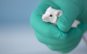 Animal Testing in 2019: Where Are We?
